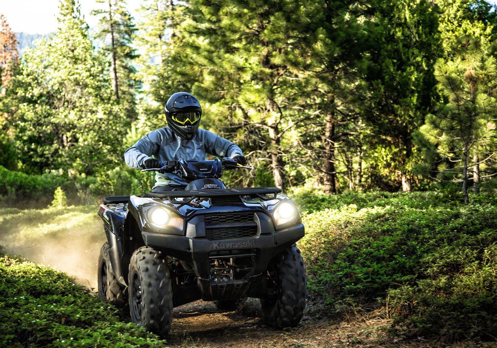 Brute Force 750 4x4i EPS 2022 Kawasaki