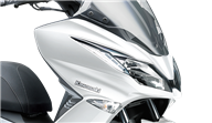 Sportieve Kawasaki-styling