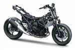 Carefully Considered Chassis Design: Sporty Kawasaki Handling