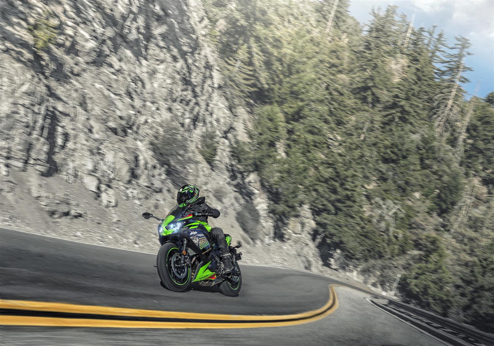 2020 kawasaki models