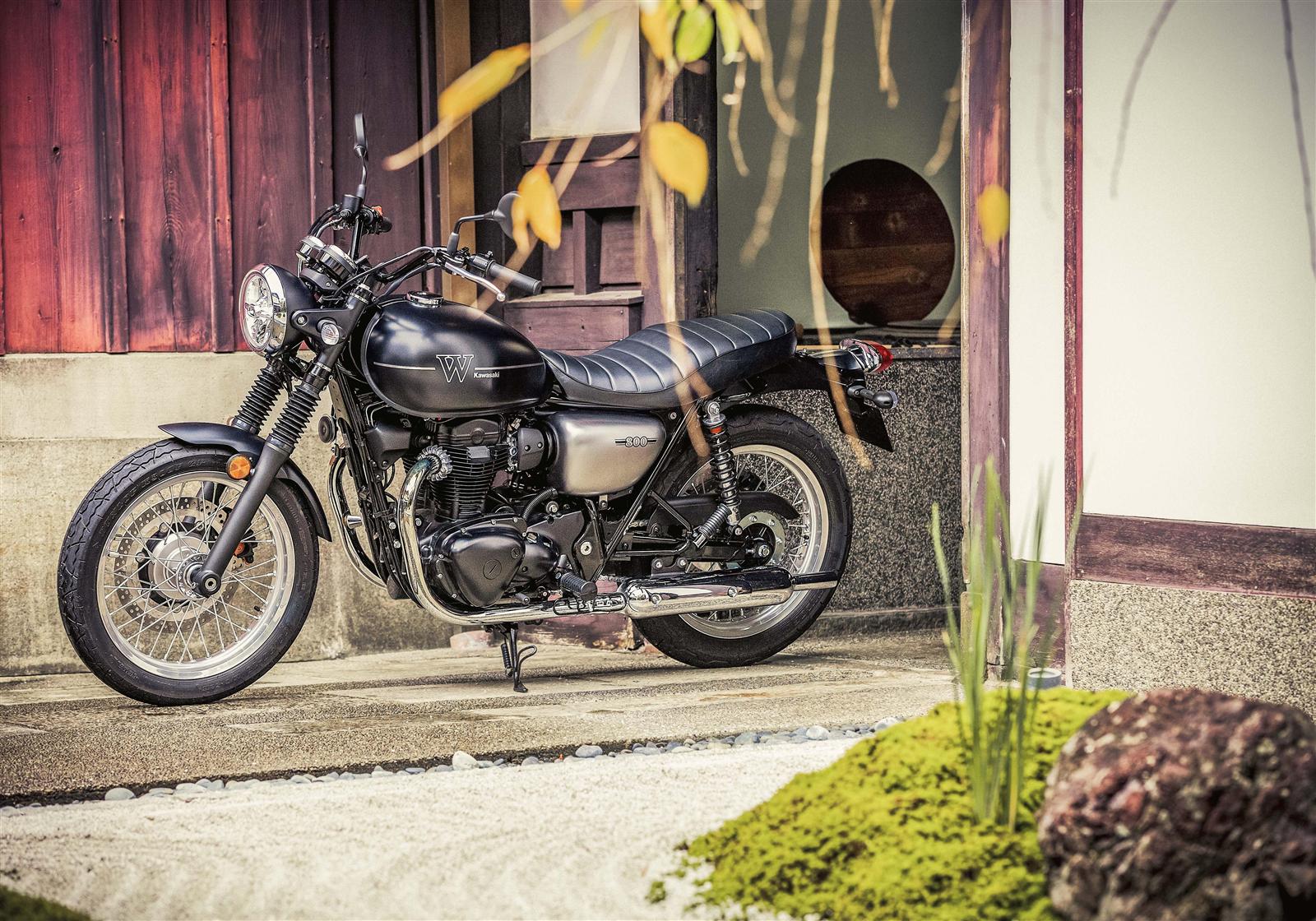 2019 kawasaki w800 street