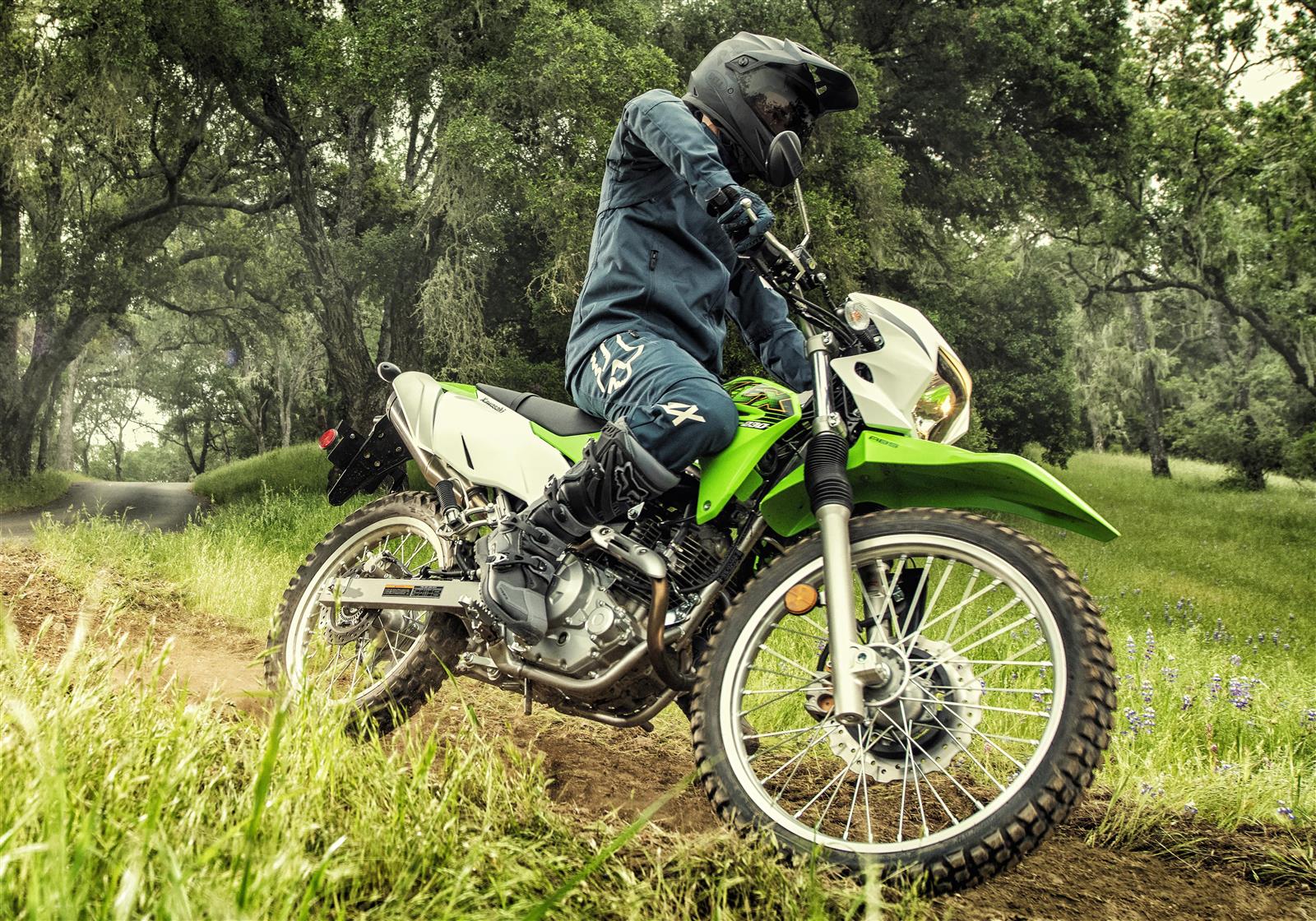 Dual purpose. Kawasaki KLX 250. Klx230. Хард эндуро Кавасаки. Kawasaki Dual Sport 230.