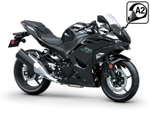 Ninja z400 deals