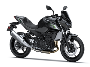 Z500 Performance 2024