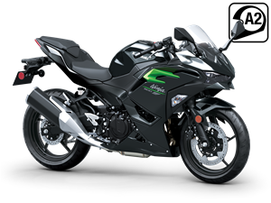 Ninja 500 2025