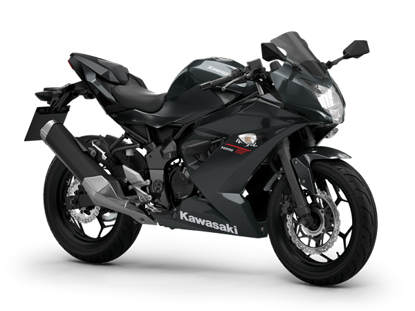 Ebony / Metallic Carbon Gray