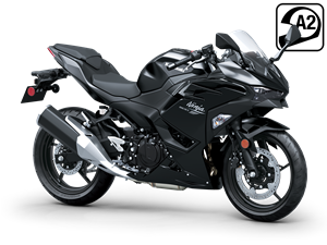 Ninja 500 2026