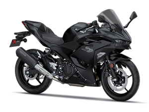 Ninja 500 Performance Remus 2026
