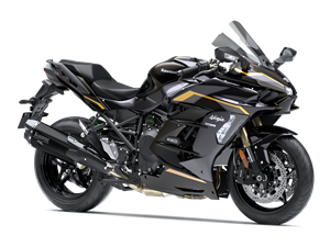 Ninja H2 SX Performance 2026