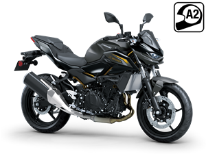 Z500 2026