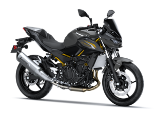 Z500 Performance Akrapovic 2026