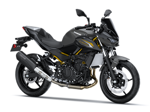 Z500 Performance Remus 2026