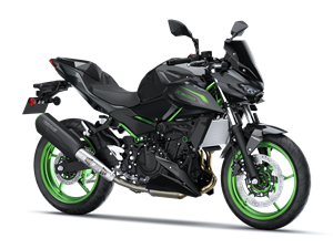 Z500 SE Performance Remus 2026