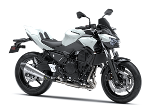 Z650 Performance Arrow 2026