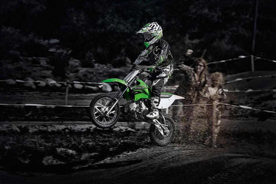 2015 klx110 online