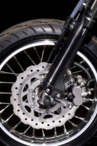 Petal disc brakes