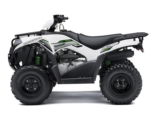 Brute Force 300 2015