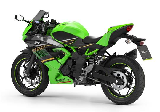 Ninja 125 Performance My 2020 - Kawasaki United Kingdom