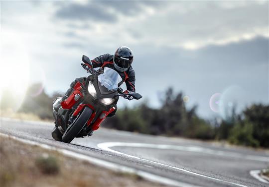 Ninja 1000SX 40th Anniversary Edition MY 2024 Kawasaki Italia