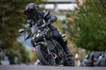 Maneggevolezza leggera e prevedibile