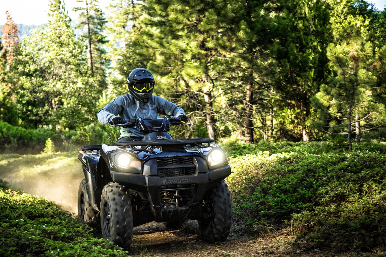 2022 kawasaki brute force