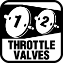 Dual Throttle Valves