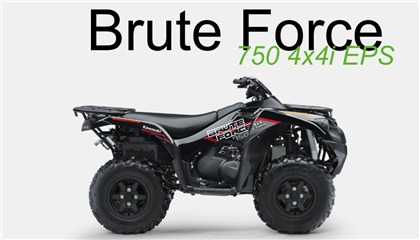 Promocja - Bruteforce 750 4x4 