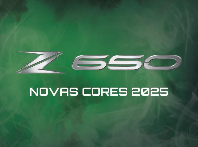 Kawasaki Revela Novas Cores da Z650 para 2025